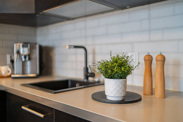 istock Modern Kitchen Counter with Plant, Coffee Machine, and Pepper Grinders in Focus 2223717027