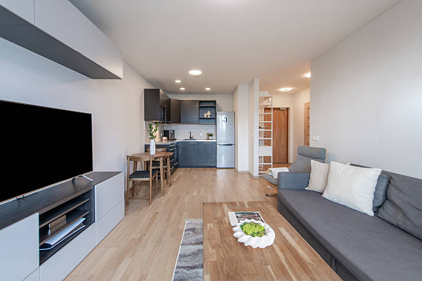 istock Modern Open Plan Living Room and Kitchen with Contemporary Interior Design 2223717074