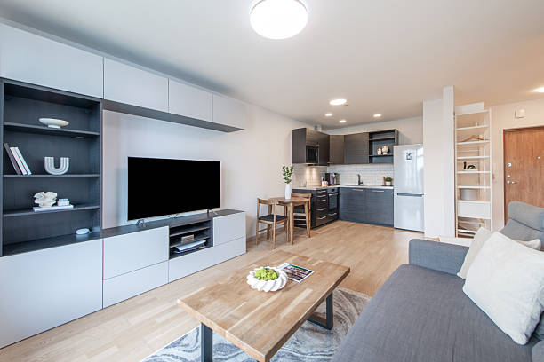istock Modern Open-Plan Living Room and Kitchen with Sleek Furniture and Decor 2223717155