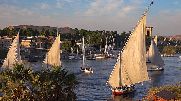 istock felucca boats on Nile river in Aswan Egypt 2223717795