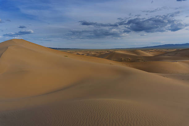 Beatiful landscape in desert at sunset