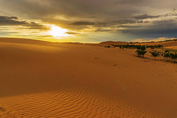istock Landscape in desert at sunset 2223721083