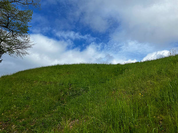istock Grassy Hill Beneath Blue and Cloudy Sky 2223721374