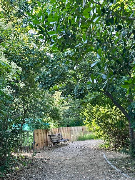 istock Botanical Gardens in Madrid 2223723854