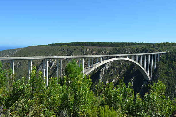 istock Bloukrans bunjee jumping bridge is an arch bridge located near Nature's Valley and Knysna in Garden route in western cape South Africa 2223726183