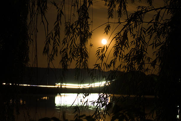 A body of water with trees around it. Outdoor. Night. Lit. Light. Dark