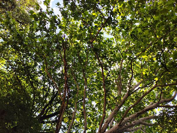 istock Beautiful nature photos 2223729875