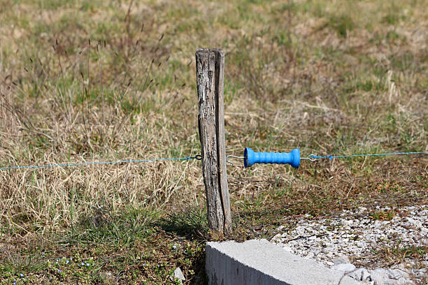 A blue plastic handle is attached to a wooden post, forming part of an electric fence that stretches across a grassy field with dry vegetation and scattered wildflowers
