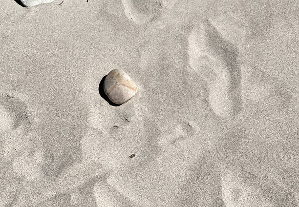 istock A single smooth, light-colored stone rests on a vast expanse of fine, light-colored sand, creating a minimalist and serene natural background. 2223730348