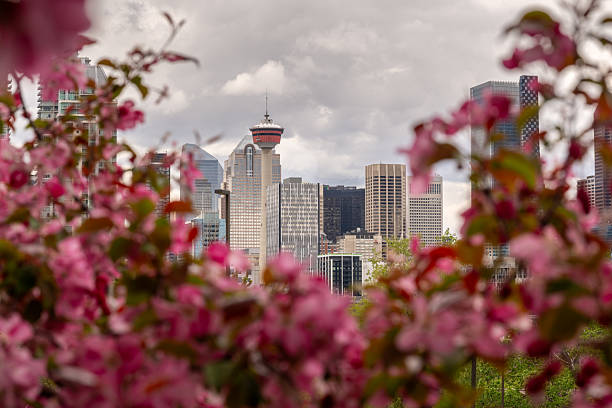 Calgary tower in downtown during a stormy spring day
