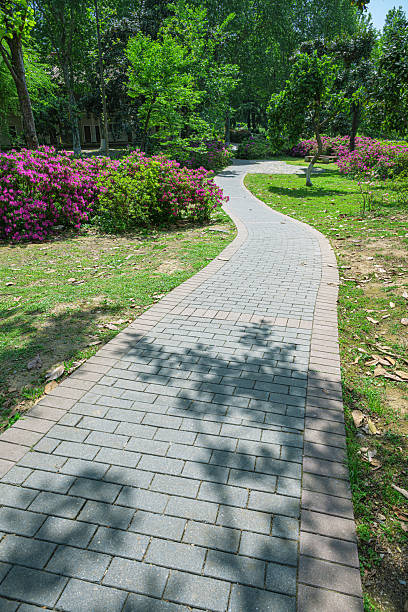 istock Curved pathway through the lush green garden 2223738984