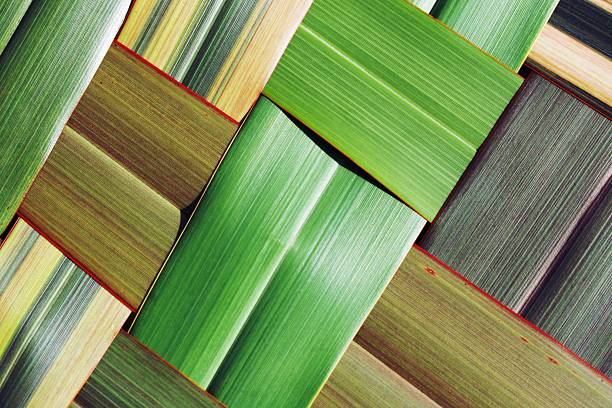 istock Woven New Zealand Flax Background 2223738988