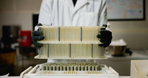 istock Close-up of Cannabis Technician Removing Top of Automatic Pre-Roll Machine 2223740142