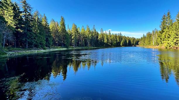 istock A Serene Forest Reflection on a Tranquil Lake, capturing natures beautiful essence 2223743996