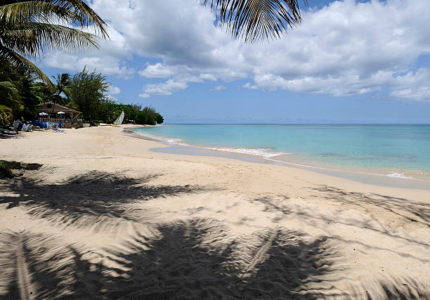 istock beach scene in Caribbean 2223746977