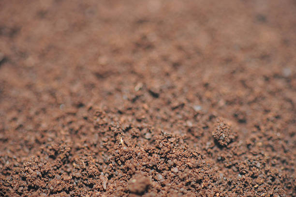 istock Fresh ground coffee piled on wooden surface in macro 2223747299