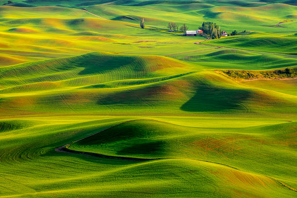 istock Red Barn nestled in the Palouse 2223753742