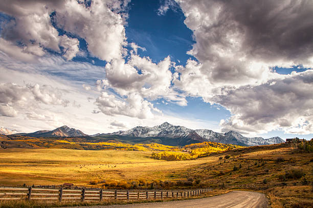 Golden colors of autumn in the San Juan Mountains of Colorado