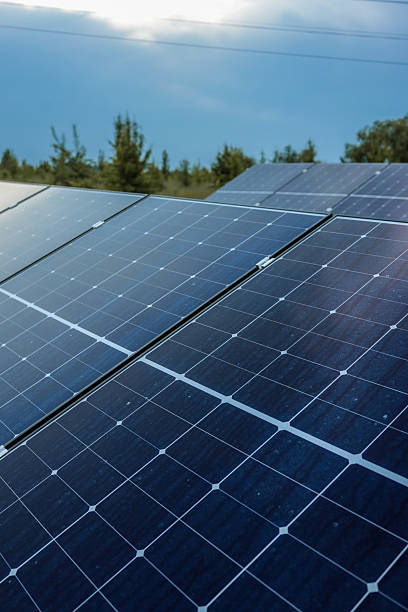 Close-up of solar panels in rural field generating renewable energy from sunlight with blurred green trees and sky in the background
