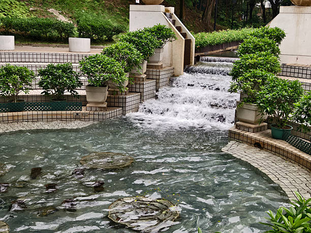 Garden pond, embedded with stones and plants.