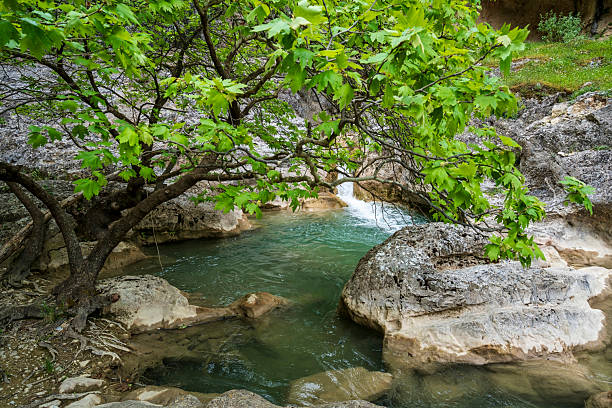 istock Turquoise pool under branch, Saint Luke Gorge 2223760475
