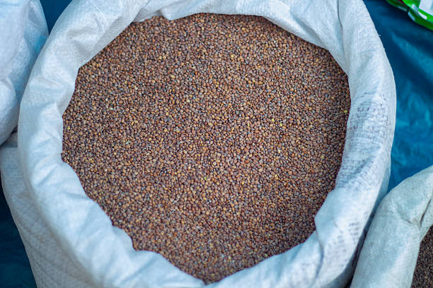 A sack full of spice seeds