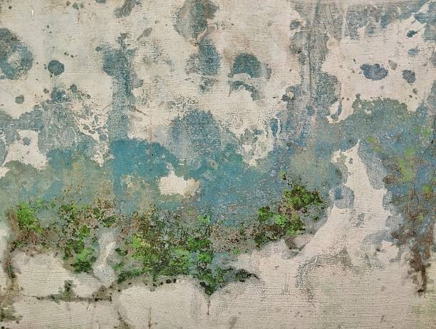 istock Abstrak grunge old wall weathered texture background 2223761744