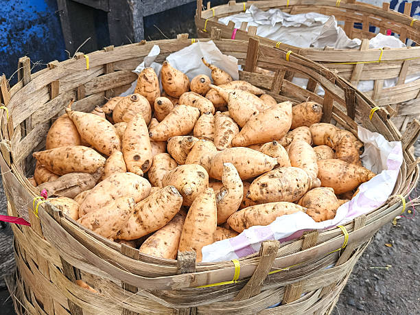 yam
