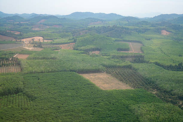 A flight from Bangkok to Trat, close to the Cambodian border, is approximately  a flight of just one hour.