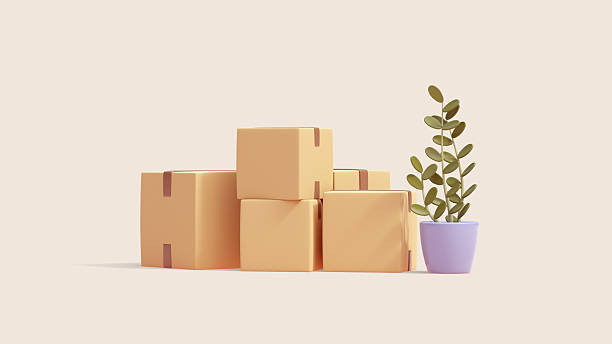 istock 3d render minimal stylized simple beige cardboard boxes with brown tape, green plant in blue pot. Stacked pile of boxes of sealed goods, personal stuff, home supplies for relocation in pastel colors 2223767297