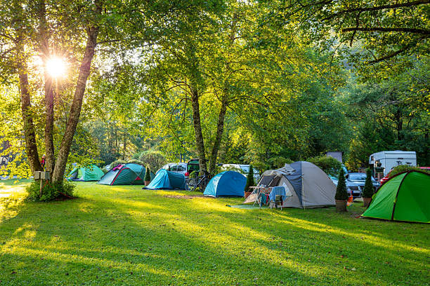 istock Tents at Dawn in a Green Campsite 2223768441