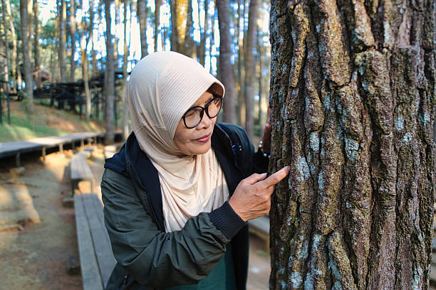 A woman wearing glasses and a headscarf examines tree bark in a scenic natural forested area. Sunlight filters through the trees, creating a calming and serene outdoor environment