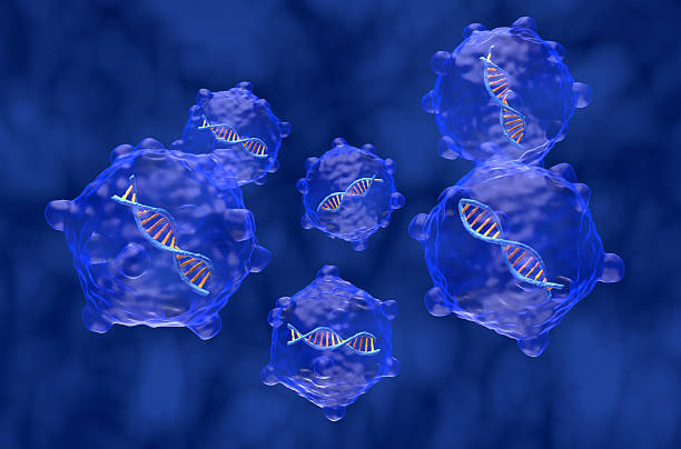 Gene therapy is medical technology that aims to produce a therapeutic effect through the manipulation of gene expression or through altering the biological properties of living cells.