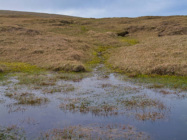 istock Serene Wetlands in Shetland's Hermaness 2223775188