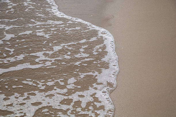 istock Gentle sea wave reaching the sandy beach shore on a sunny day 2223775958
