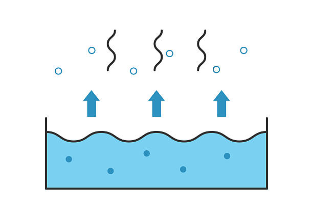 This diagram illustrates the process of water evaporation, showing how water changes from liquid to vapor. It is ideal for science education, weather explanations, environmental studies, and topics such as humidity and dryness.