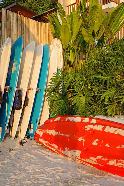 istock A colorful surf boards stack on the beach shore full of white sand, ready for surfer 2223776689