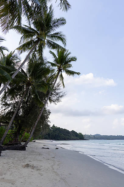 istock Khlong Chao Beach, Ko Kut, Thailand 2223776868