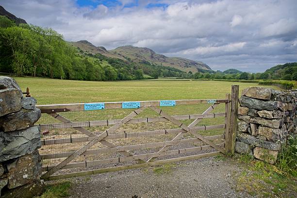Walking around Great Crag - Ulpha Fell to Devoke water in Eskdale, Cumbria