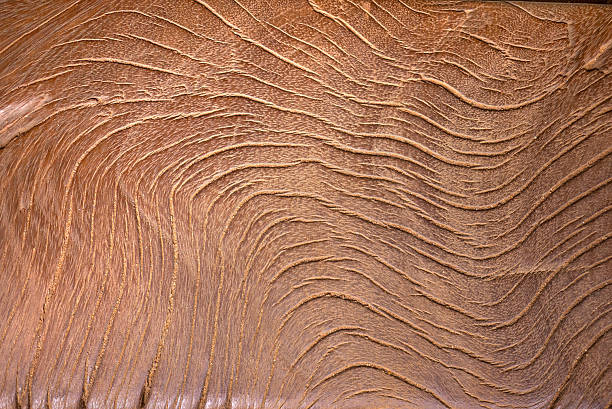 Crumpled cardboard background.