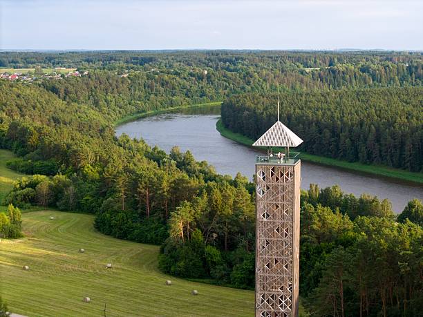 A scenic view of a wooden observation tower overlooking a lush forest and winding river on a sunny day.