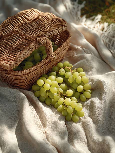 A cozy still life scene of a rustic wicker basket filled with fresh green grapes, placed on a light beige picnic blanket. A few grape clusters rest beside the basket, catching the soft, warm sunlight of an early morning. Natural shadows and textures emphasize the calm, organic feel of the image. Ideal for themes related to slow living, healthy food, outdoor gatherings, and countryside lifestyle. Shot in natural light with a focus on warmth and simplicity.