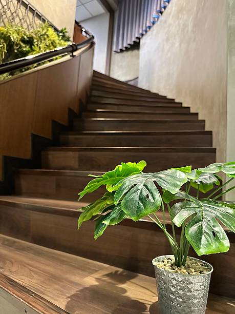 istock corner of room with indoor plants 2223783006