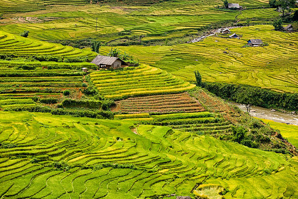 istock Rice fields near Sapa town in North Vietnam 2223786601