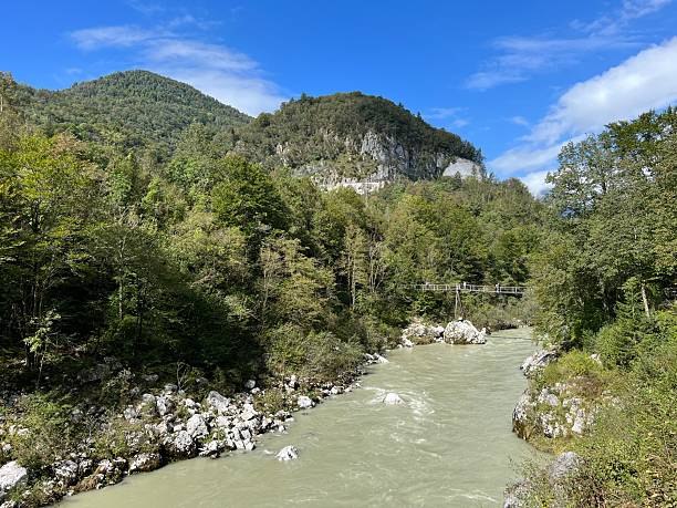 istock River Soca with surrounding forests during summer and high water level (Kobard, Slovenia) - Fluss Soca mit umliegenden Wäldern im Sommer und bei hohem Wasserstand (Slowenien) 2223797689