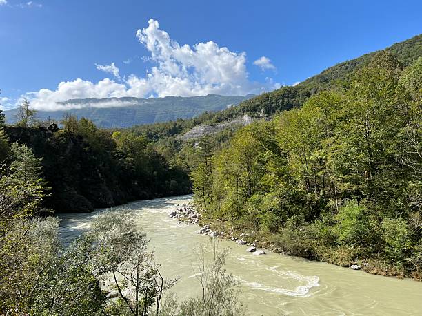 istock River Soca with surrounding forests during summer and high water level (Kobard, Slovenia) - Fluss Soca mit umliegenden Wäldern im Sommer und bei hohem Wasserstand (Slowenien) 2223797692