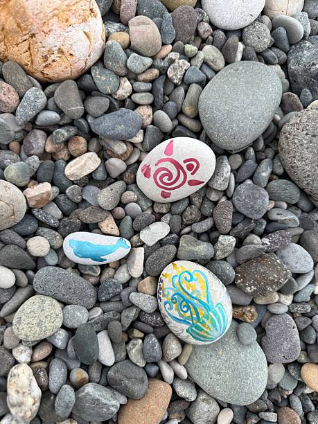 istock Several painted stones with sea-themed designs lie among unpainted pebbles on a beach, including a turtle, seal, and jellyfish. 2223799284