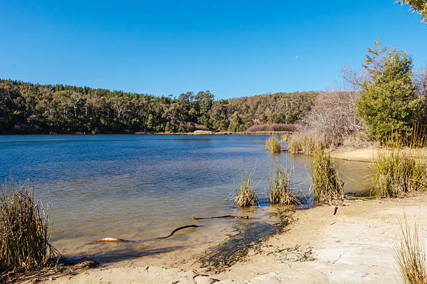 istock St Georges Lake in Creswick Australia 2223800662