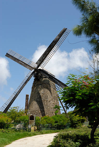 istock windmill in Barbados, Morgan Lewis Windmill 2223804496