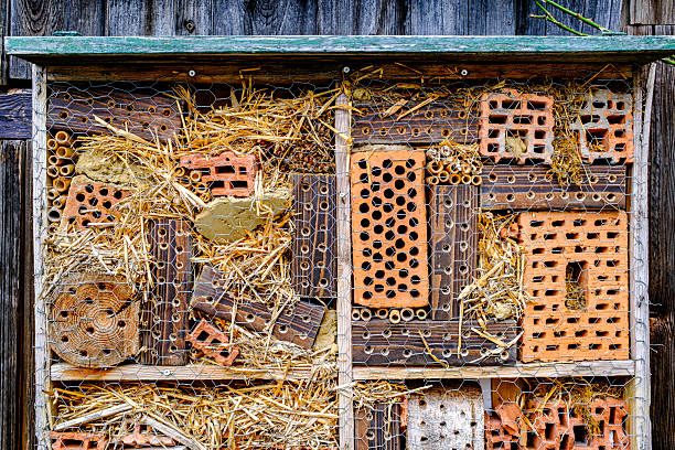 A variety of natural and man-made materials are arranged neatly in an insect hotel, providing shelter for beneficial insects in a green garden environment.